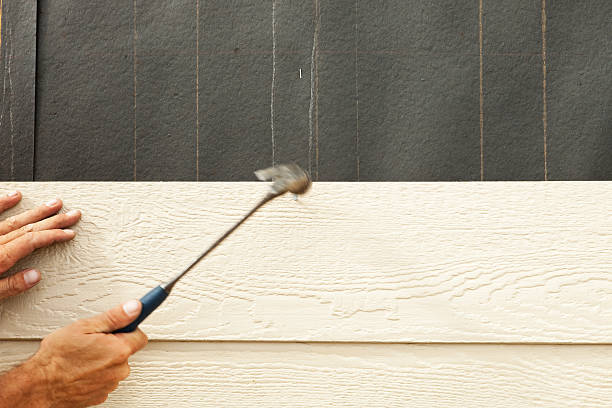 Custom Trim and Detailing for Siding in Wedgefield, FL
